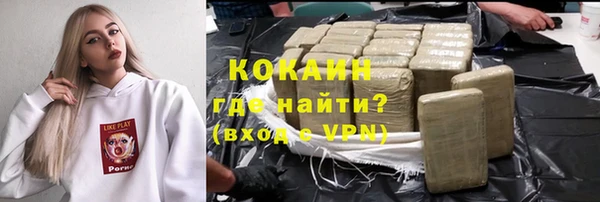 гашик Алексин