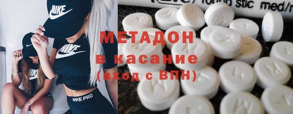 гашик Алексин