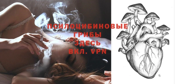 гашик Алексин