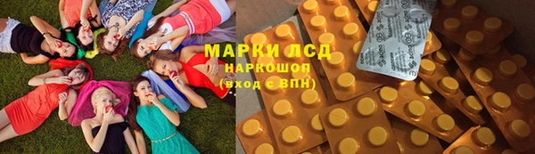 гашик Алексин