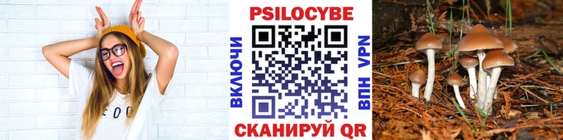 blacksprut рабочий сайт  Богородск  Галлюциногенные грибы GOLDEN TEACHER 