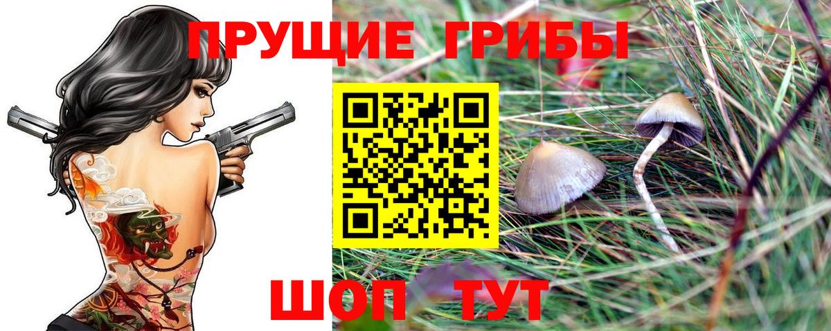 Богородск  Псилоцибиновые грибы MAGIC MUSHROOMS  Вход с VPN  Псилоцибиновые грибы ЛСД 